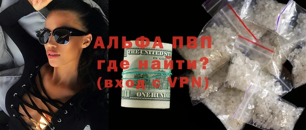 молекула духа Ельня