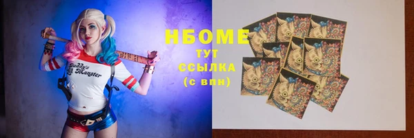 молекула духа Ельня