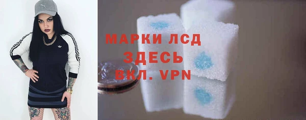 молекула духа Ельня