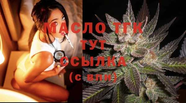молекула духа Ельня