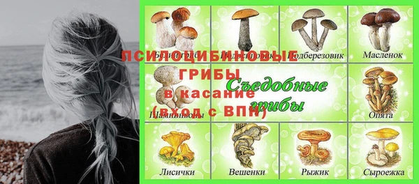 дмт Елизово