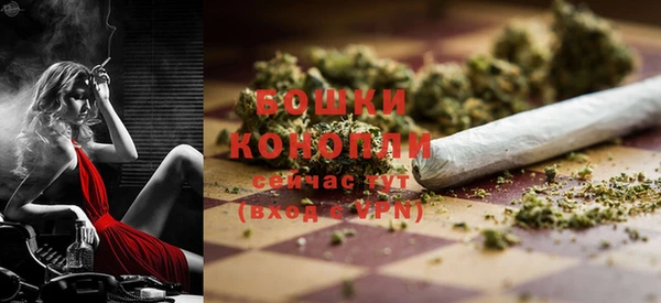 дмт Елизово