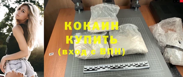 молекула духа Ельня